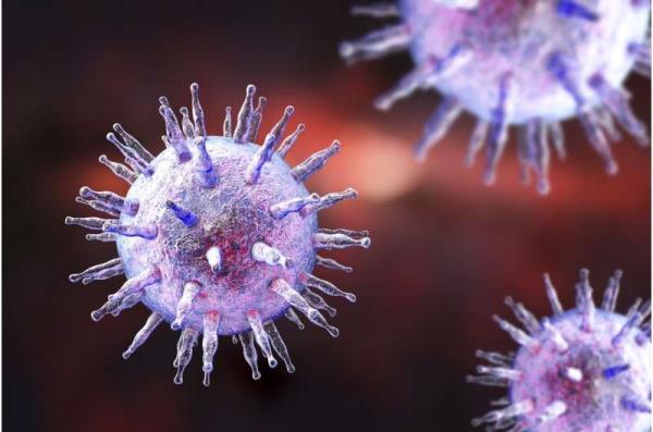 Specific immune respo<em></em>nse to Epstein-Barr virus discovered